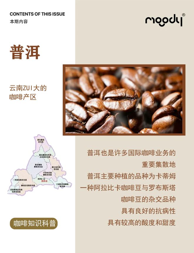 彩云之南的馥郁传奇开元棋牌云南咖啡：(图23)