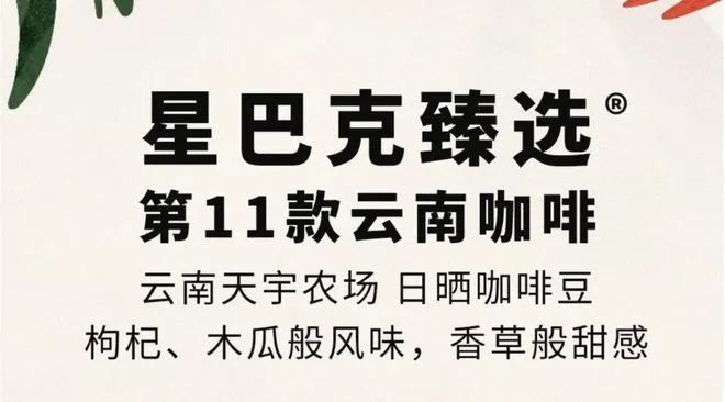 彩云之南的馥郁传奇开元棋牌云南咖啡：(图21)