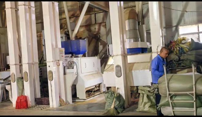 金！咖农欢呼咖啡店却不敢涨价开元棋牌太疯